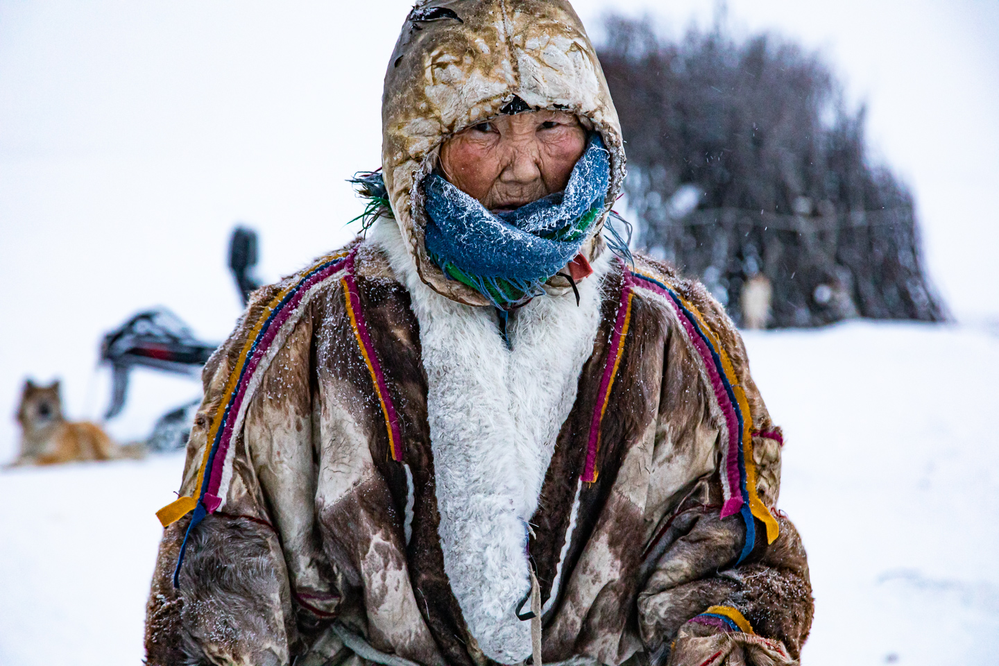 Les peuples indigènes vivent dans l'Arctique depuis des milliers d'années.