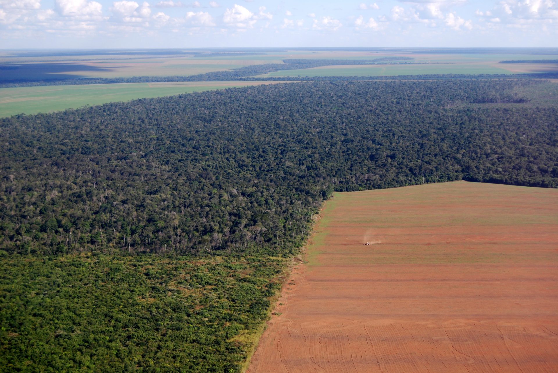 Zerstörung des Amazonas für den Anbau von Soja