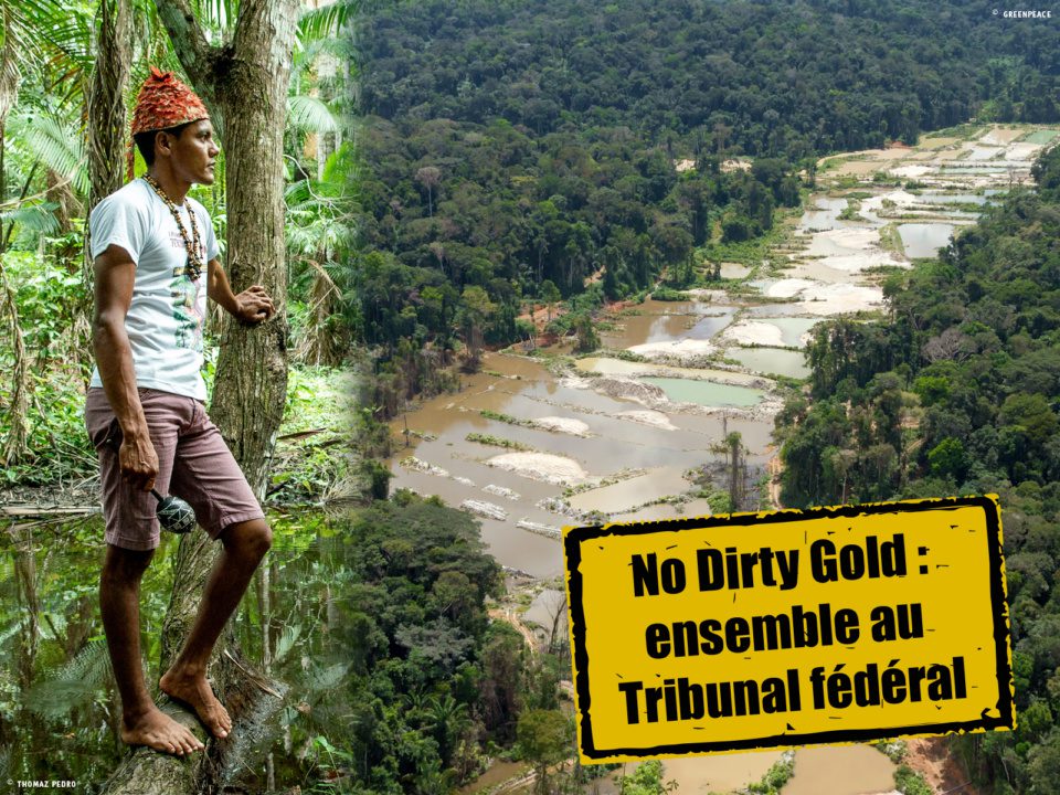 Crowdfunding Or Tribunal fédéral, mai 22 - Photos: Thomaz Pedro / Greenpeace