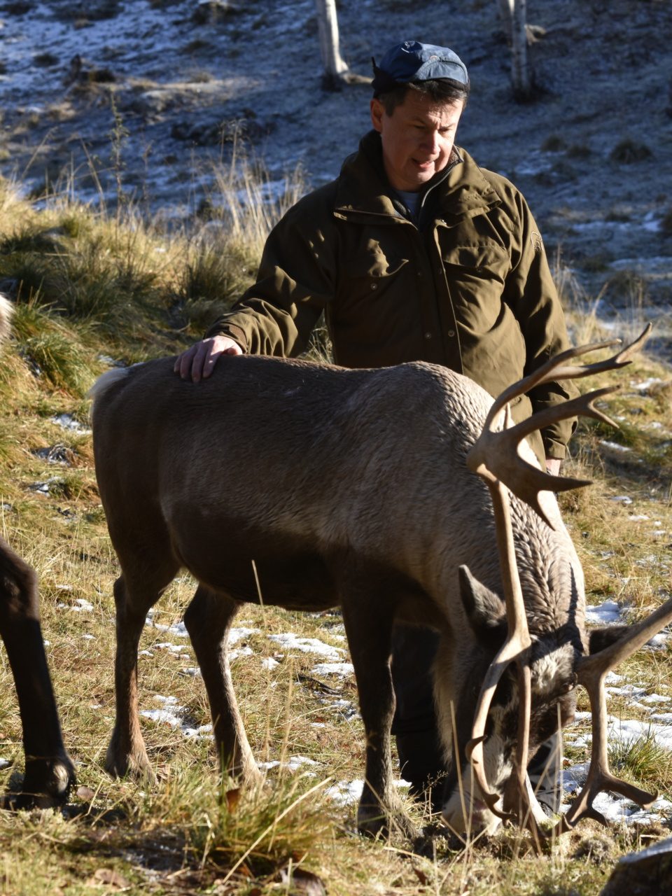 The reindeer herder Leif Jåma is a member of the Sami people in Norway.