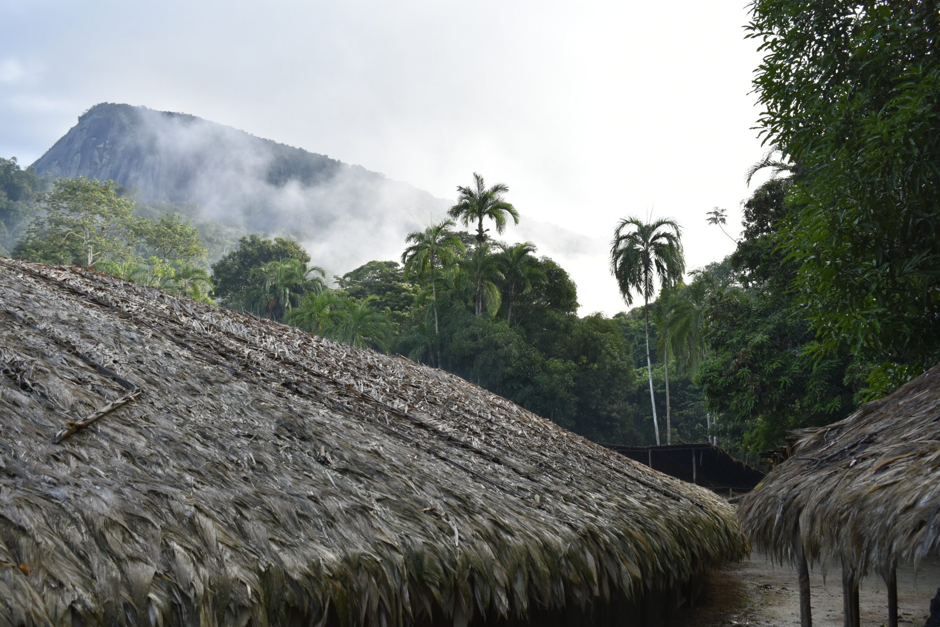 The village Demini is home for many Yanomami.