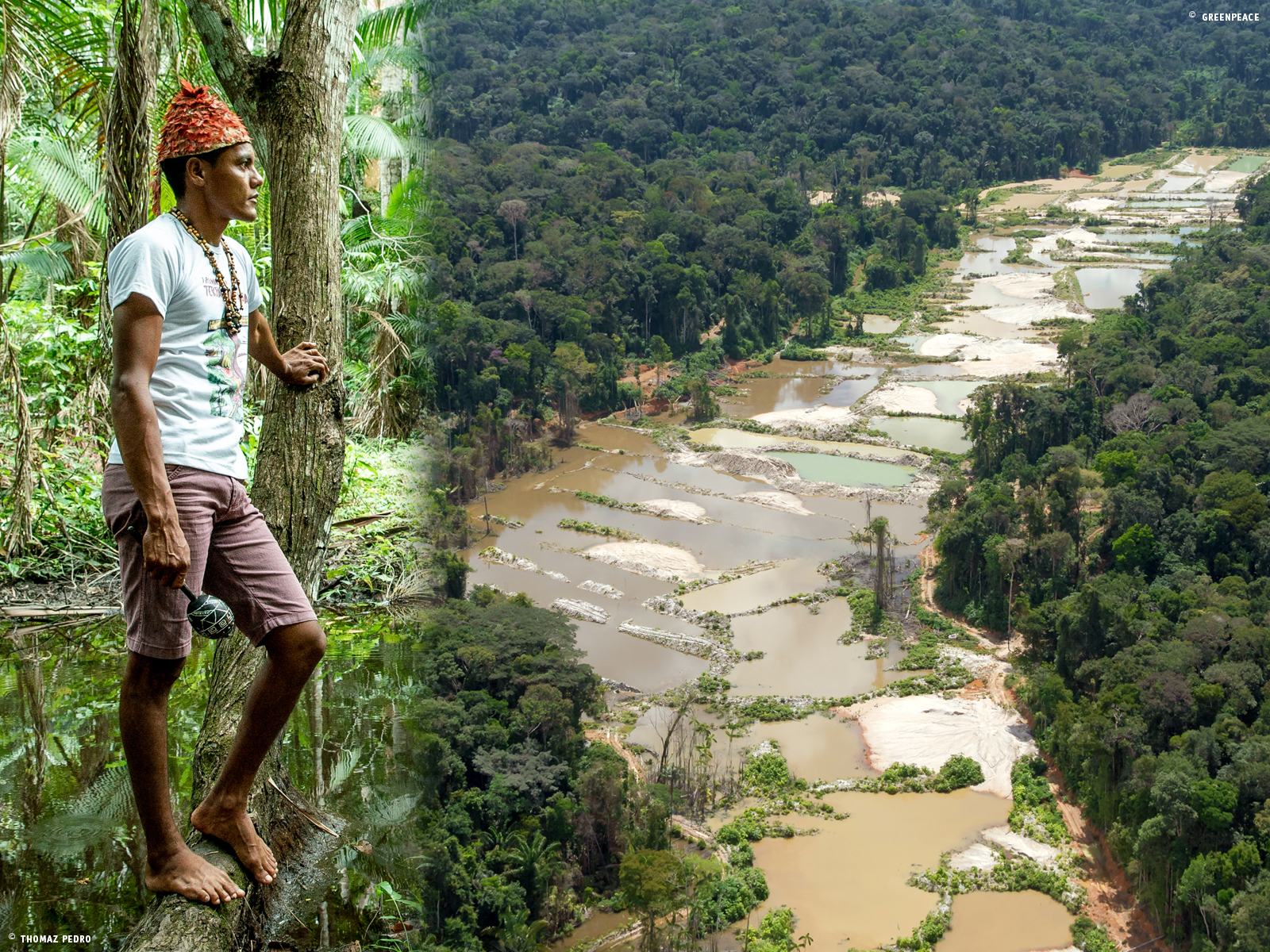 Gold mining in protected and sensitive habitats: A trail of devastation runs through the Munduruku indigenous territory. Photos: Thomaz Pedro / Greenpeace