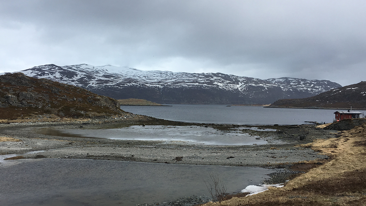 In diesem Fjord, Repparfjord in Norwegen, plant Nussir ASA seit einigen Jahren eine Mine. Foto: Lea Ackermann / GfbV