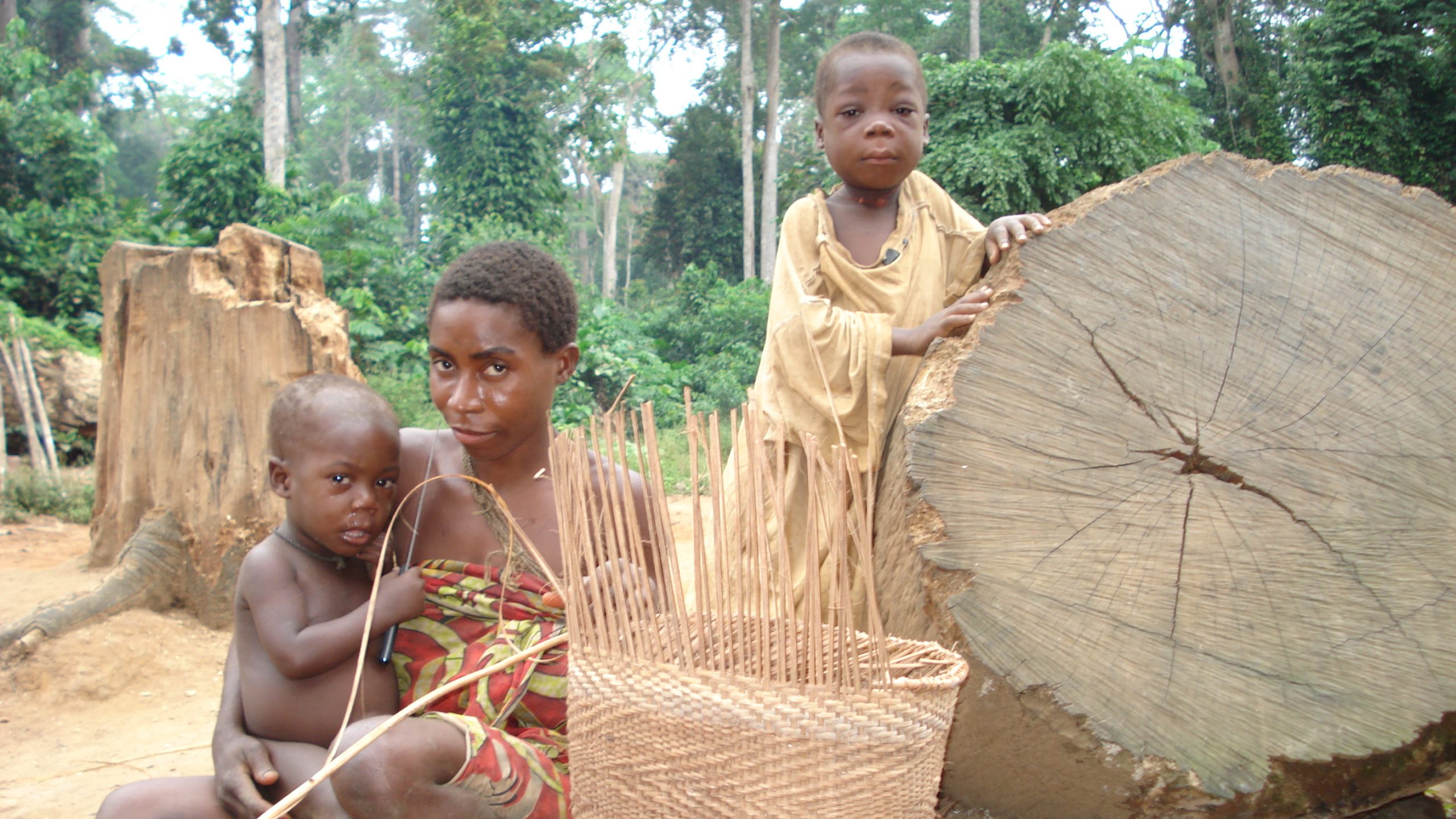 Waldvölker Kongobecken