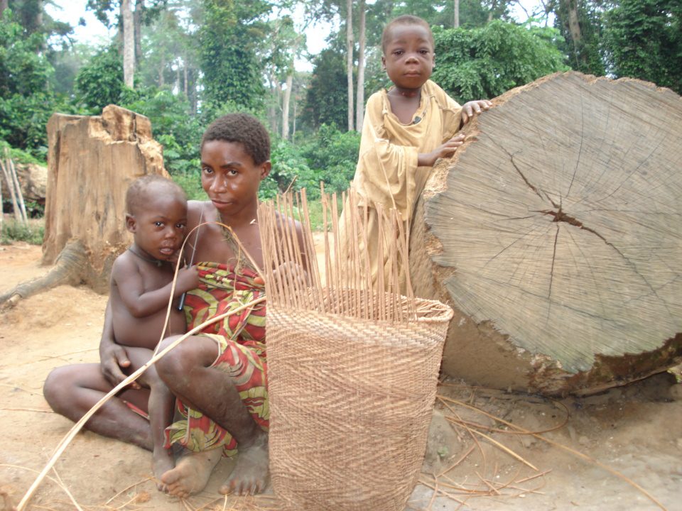 Waldvölker Kongobecken