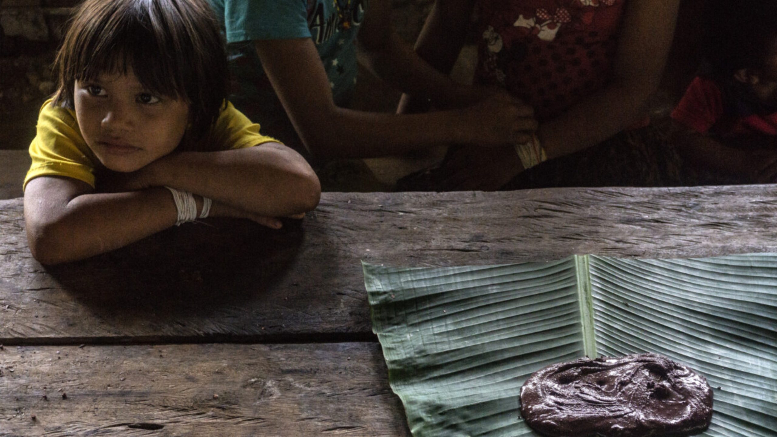 Brasilien: Ein Kakaoprojekt schafft Zukunftsperspektiven. Foto: ISA